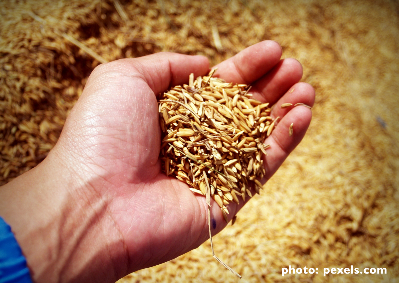 Perlakuan Kepabenanan Impor Barang Curah Dirilis