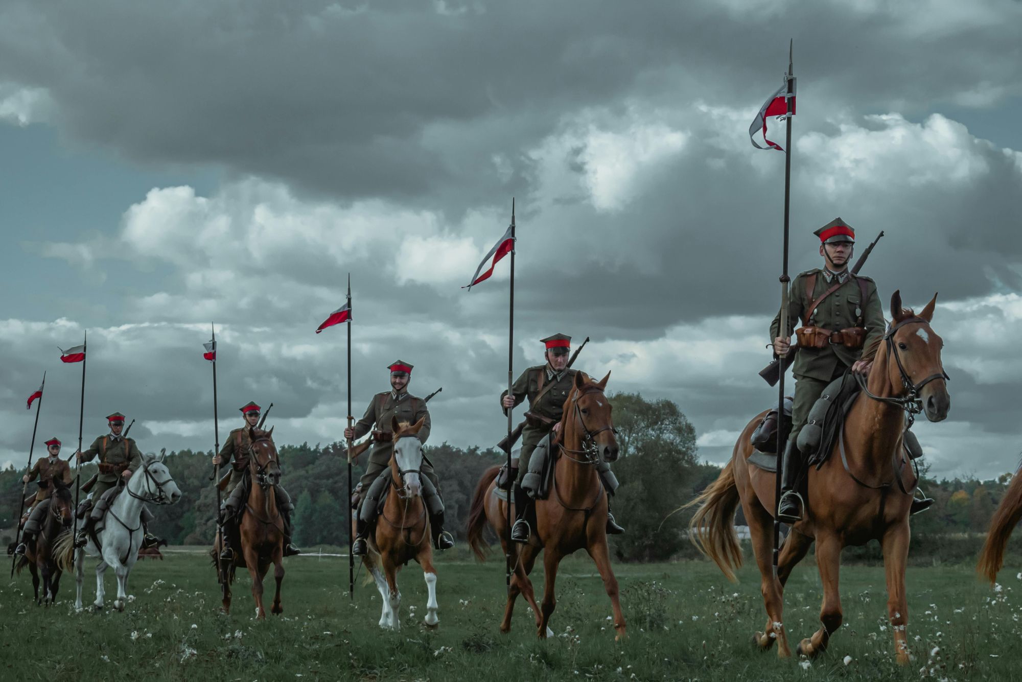 VAT on Cavalry Horses Borne by the Government